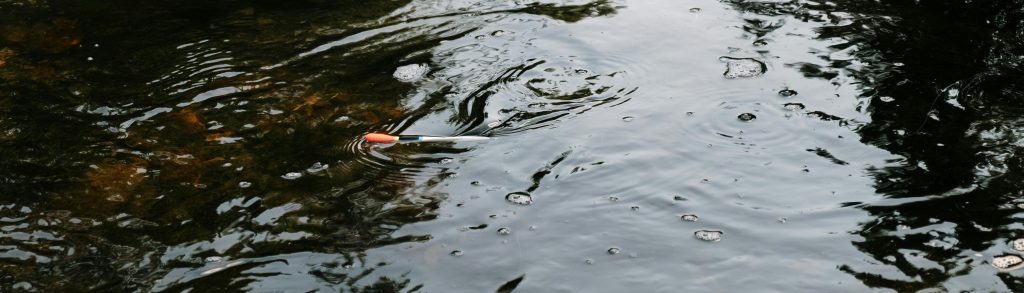 animation cuillere truite peche riviere trout