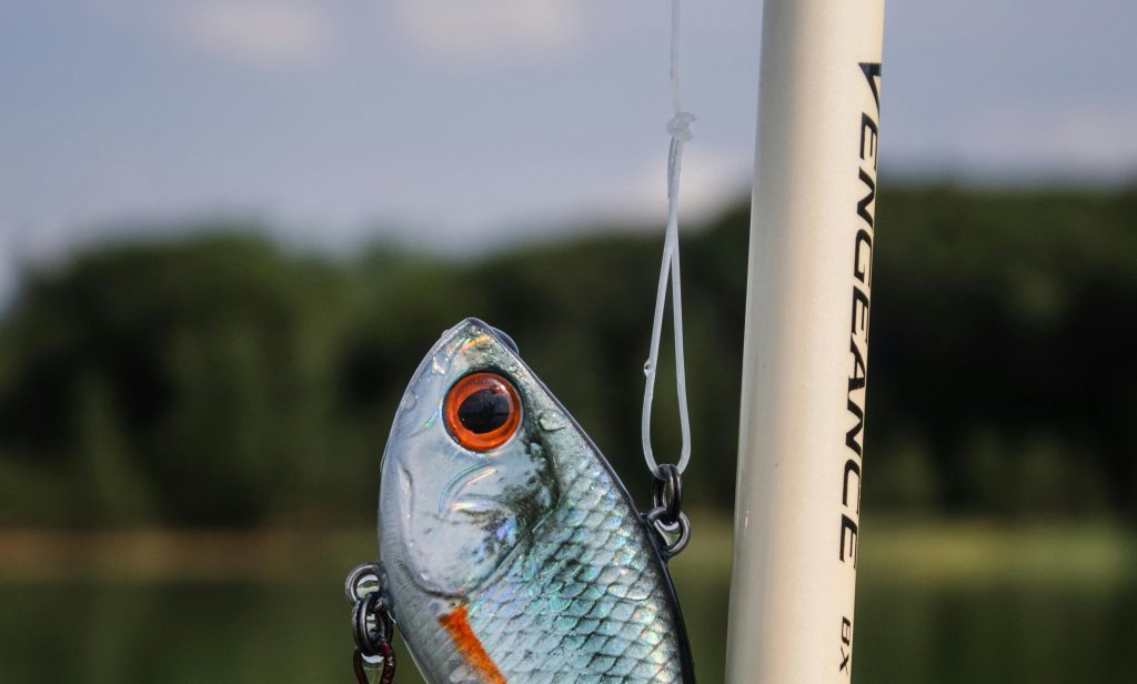 peche brochet, noeud brochet, noeud carnassier