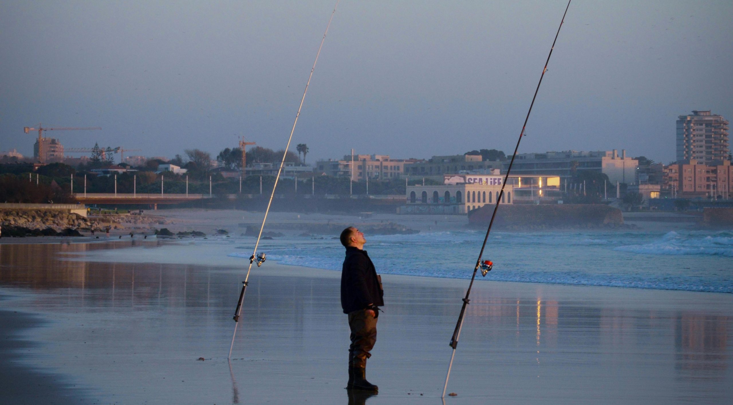 surf casting peche mer daurade, bar